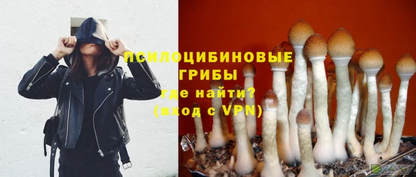 шишки Володарск