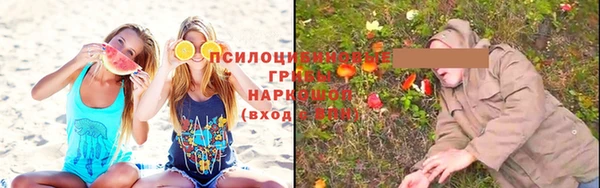 шишки Володарск